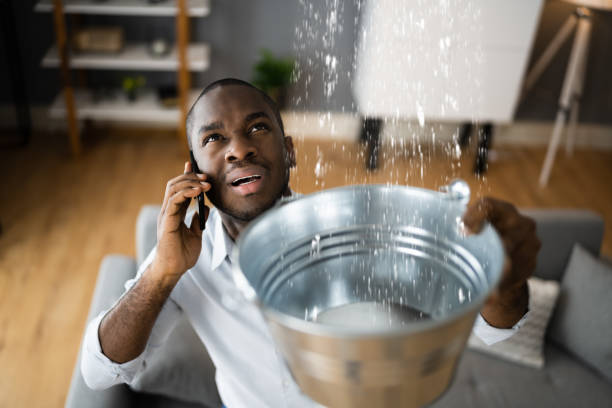 Best Water damage contractors near me  in , AK