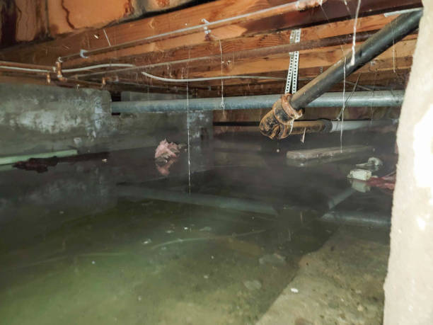 Best Emergency water damage restoration  in , AK