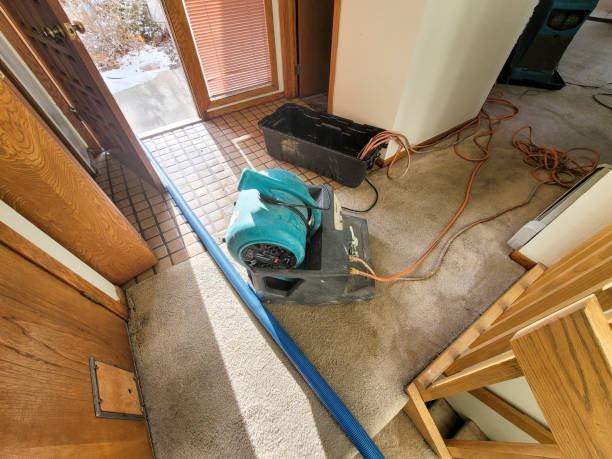 Best Fire Damage Restoration  in , AK