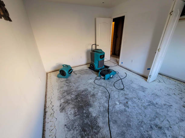 Best Flood damage cleanup  in , AK