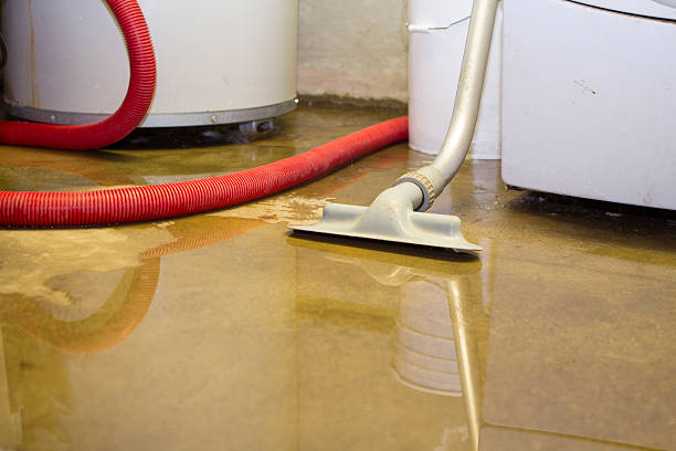 Best Mold removal after water damage  in , AK