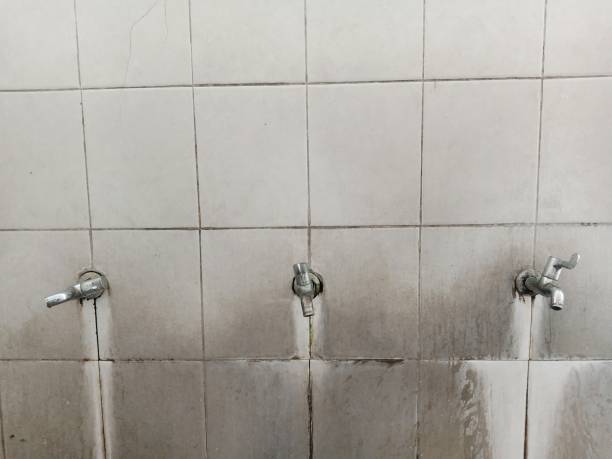 Best Residential water damage restoration  in , AK