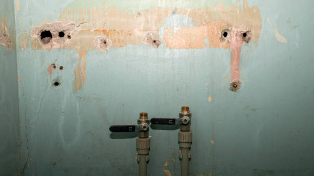 Best Water damage restoration near me  in , AK