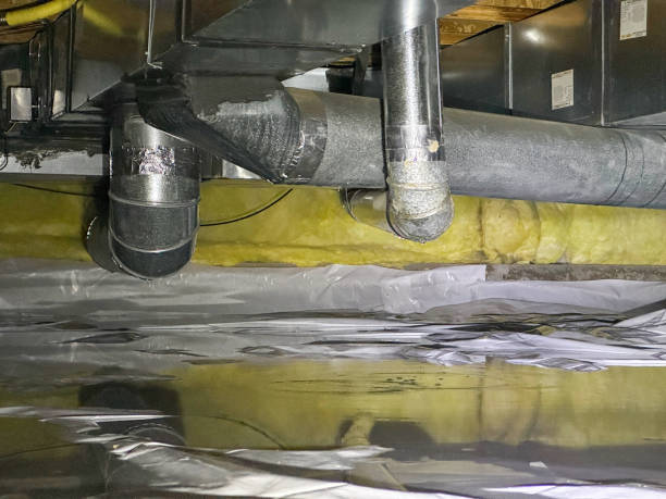 Best 24-hour water damage restoration  in , AK