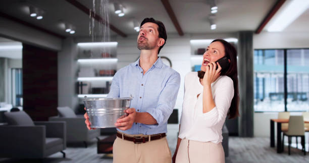 Best Flood restoration services  in , AK